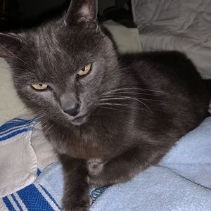 Meet your Posher, Sandy